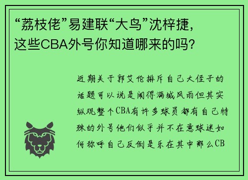 “荔枝佬”易建联“大鸟”沈梓捷，这些CBA外号你知道哪来的吗？